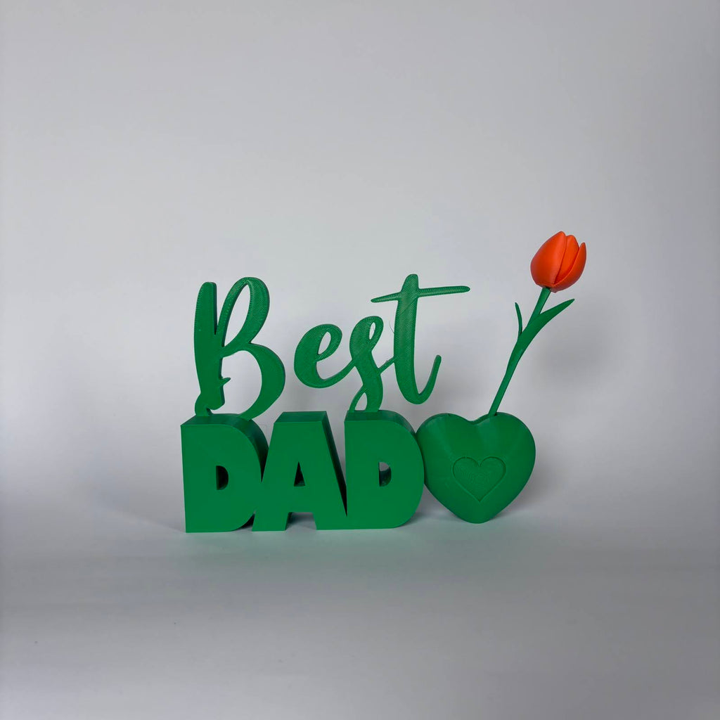 00047 - Best Dad Gift