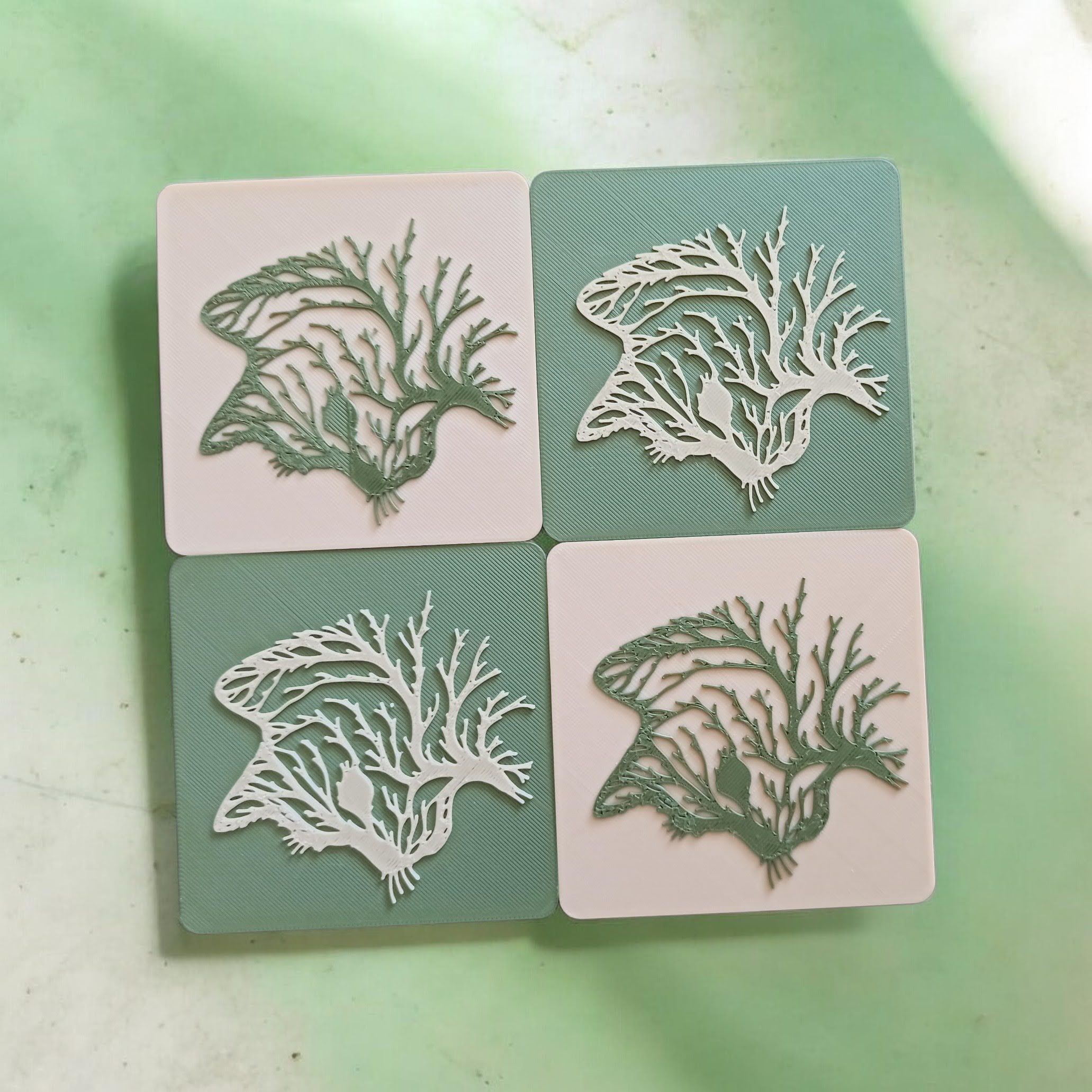 00108 - Cats Coaster