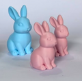 00022 - Bunny