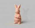 00067 - Easter bunny female