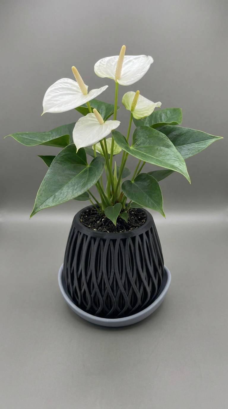 00123 - Neated planter