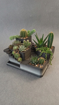 00133 - Stairs seculente & cactus planter