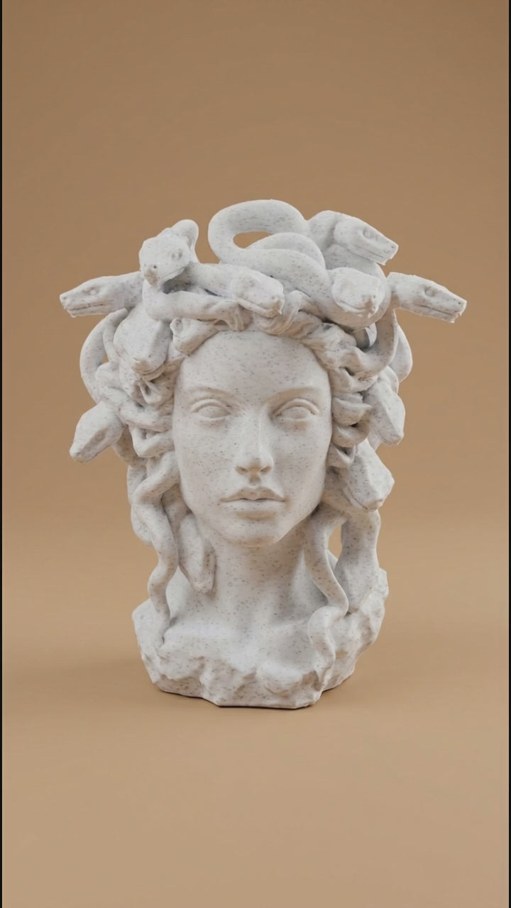 00128 - Medusa planter