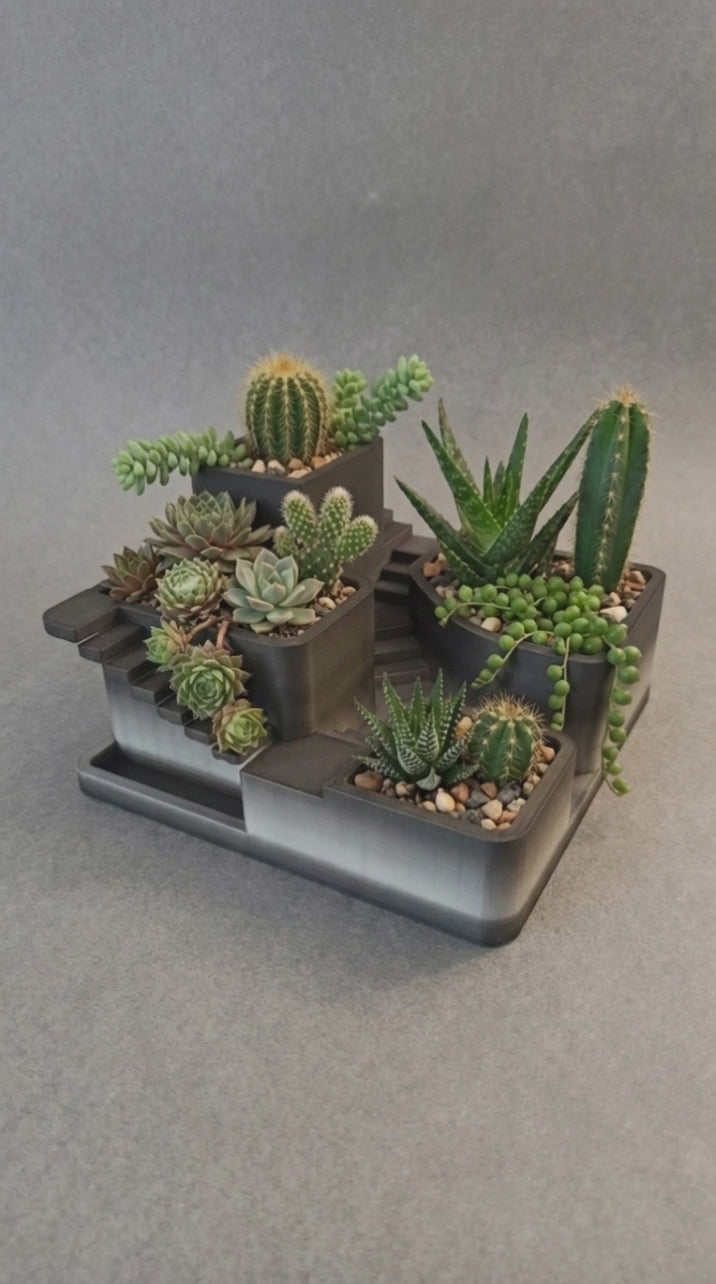 00133 - Stairs seculente & cactus planter