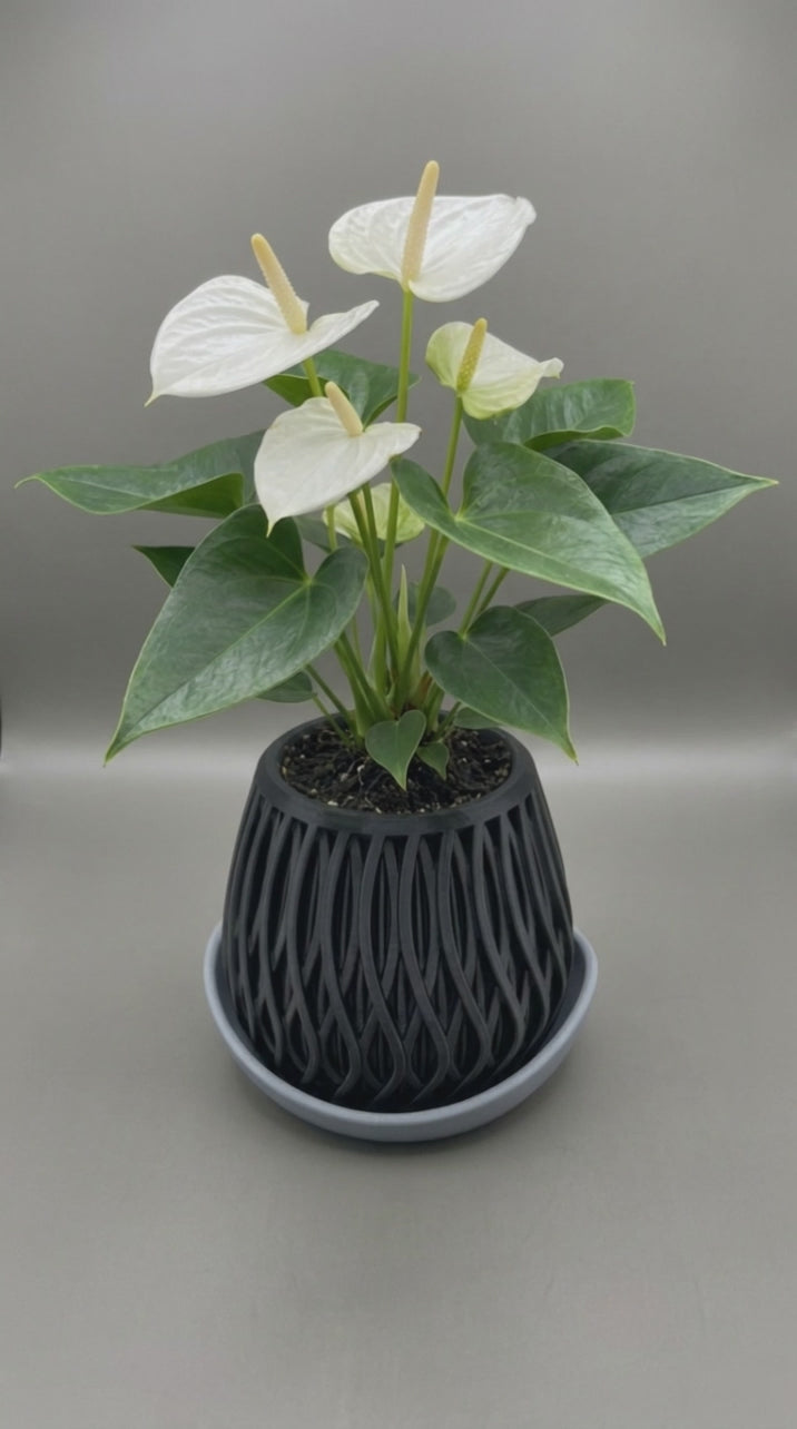 00123 - Neated planter