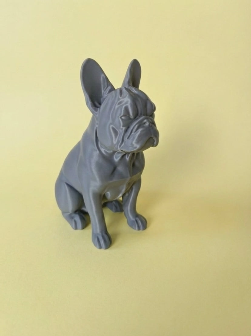 00075 - French bulldog sitting