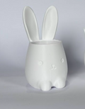 00016 - Bunny planter